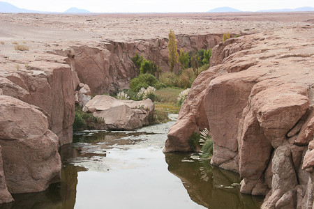 Waterloop naar Lago Miscanti