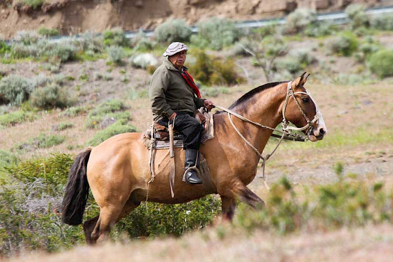 De boeren verplaatsen hun kuddes te paard.