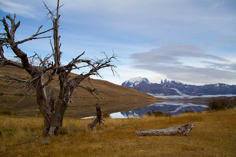 Uitzicht op de Torres vanaf Lago Azul. NP Torres del Paine, Chili.